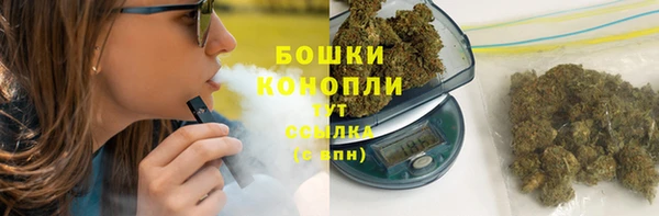 спайс Арсеньев