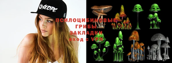спайс Арсеньев