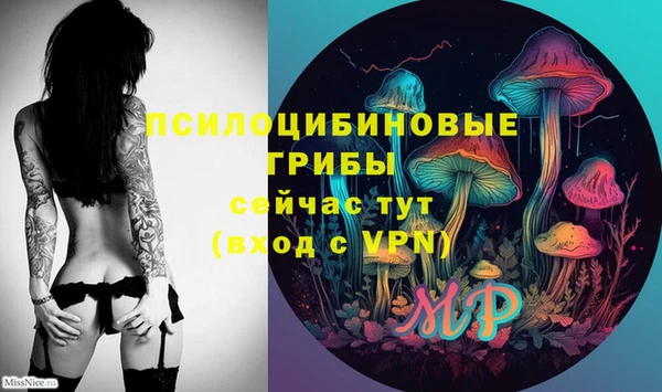 спайс Арсеньев