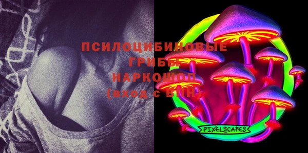 спайс Арсеньев