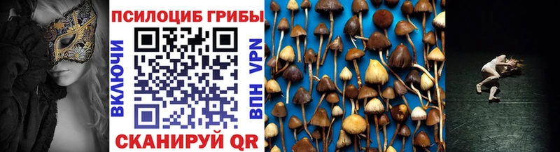 Галлюциногенные грибы мицелий  Очёр 
